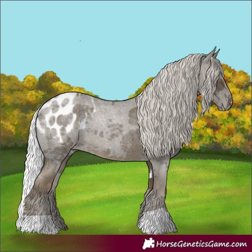 Horse Color:Silver Smoky Blue Roan Merle Appaloosa