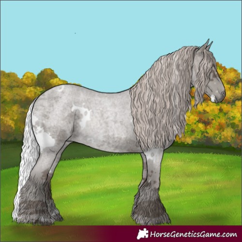 Horse Color:White Spotted Silver Blue Roan Merle 
