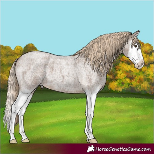Horse Color:Chocolate Palomino Roan Splash 
