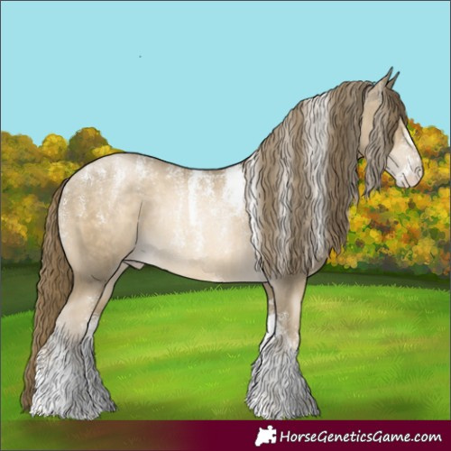 Horse Color:Powder White Smoky Black Snowdrop Appaloosa Rabicano 