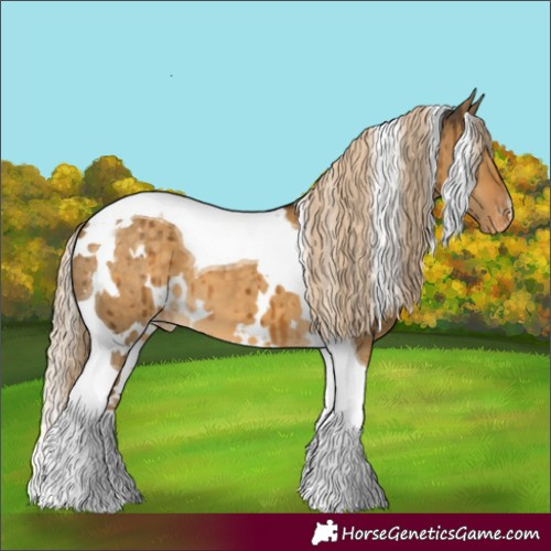 Horse Color:White Spotted Chocolate Palomino Dun Tobiano Appaloosa Brindle 