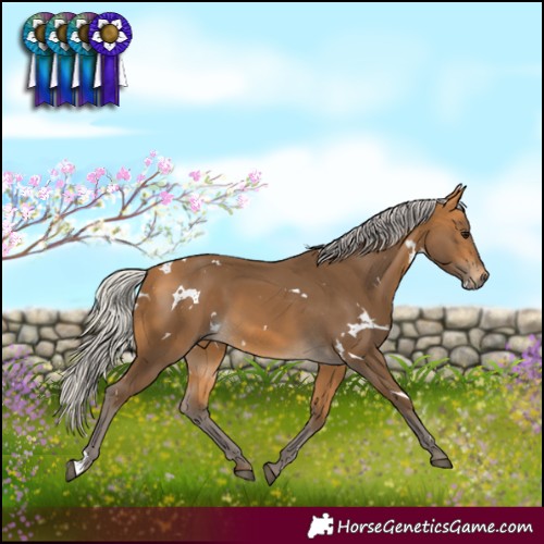 Horse Color:White Spotted Silver Buckskin 