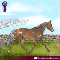 Horse Color:White Spotted Silver Buckskin 