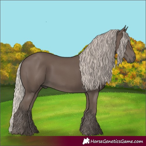 Horse Color:Silver Black 