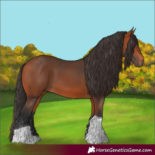 Horse Color:Bay Tobiano