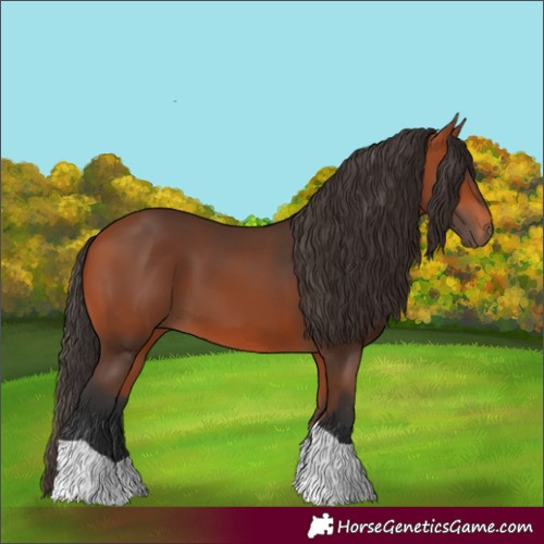 Horse Color:Bay Tobiano