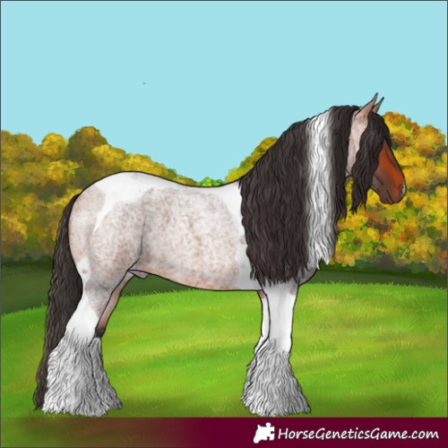 Horse Color:Bay Roan Tobiano