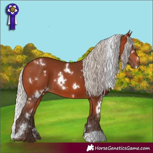 Horse Color:White Spotted Silver Bay