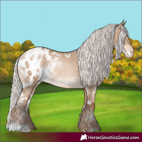 Horse Color:White Spotted Silver Brown Pearl Dun Appaloosa Rabicano