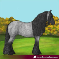 Horse Color:Blue Roan Rabicano 