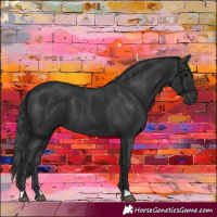 Horse Color:Black 