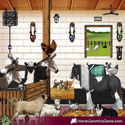 Horse Color:Black Tobiano