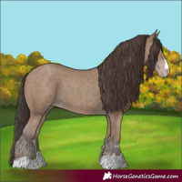 Horse Color:Classic Champagne 
