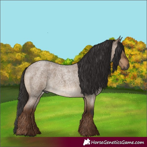 Horse Color:Gray Liver Red Dun Roan