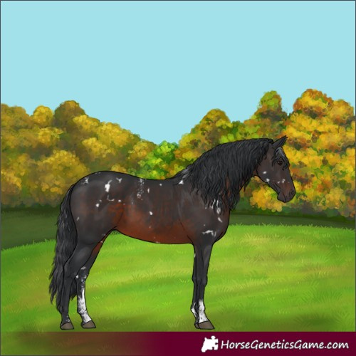 Horse Color:Powder White White Spotted Brown 