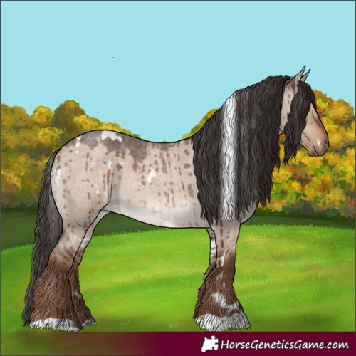 Horse Color:White Spotted Liver Red Dun Roan Rabicano Brindle
