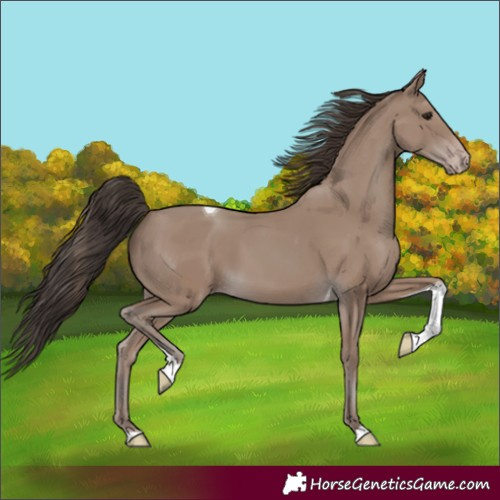 Horse Color:Classic Champagne Tobiano 