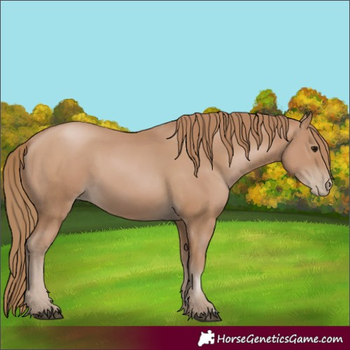 Horse Color:Black Pearl 