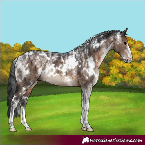 Horse Color:Powder White White Spotted Brown Dun Rabicano Brindle