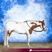 Horse Color:Chestnut Tobiano Frame Rabicano 