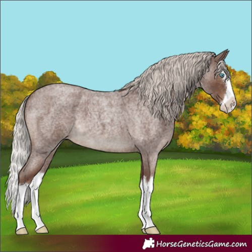 Horse Color:Silver Blue Roan Splash