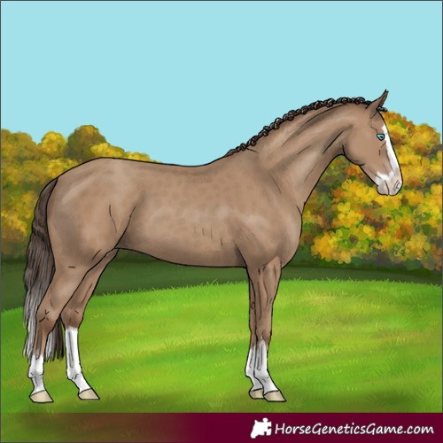 Horse Color:Classic Champagne Splash 