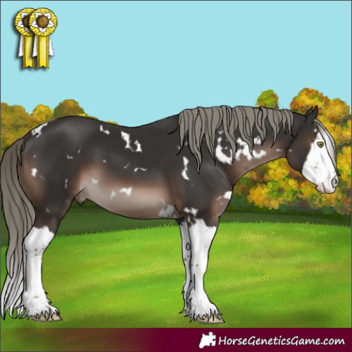 Horse Color:White Spotted Liver Chestnut Mushroom Splash 