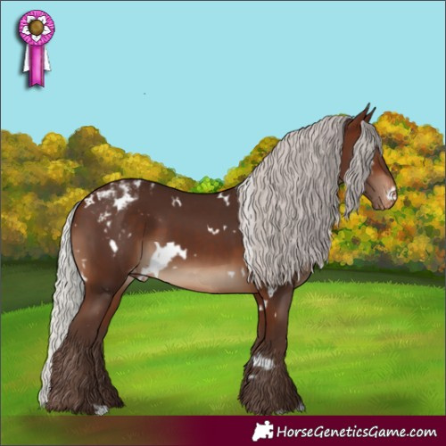 Horse Color:White Spotted Silver Brown Appaloosa 