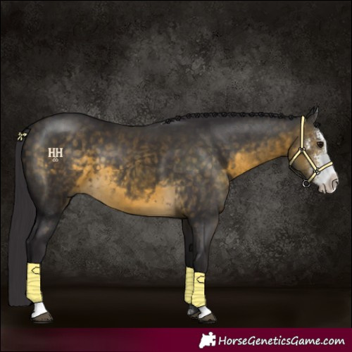 Horse Color:Buckskin Sabino