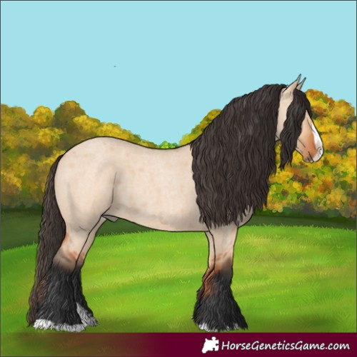 Horse Color:Bay Roan Dun Splash 