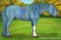 Horse Color:Nacre Watercolor Black 