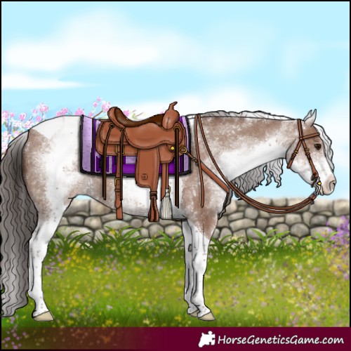 Horse Color:White Spotted Classic Champagne Tobiano Rabicano 