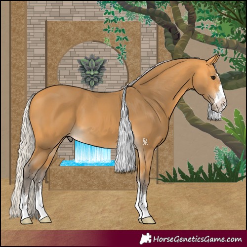 Horse Color:Silver Buckskin