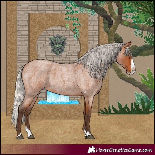 Horse Color:Silver Bay Roan Splash Frame 