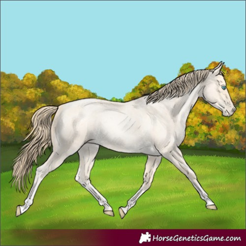 Horse Color:Buckskin Roan Pearl  and Buckskin Roan Pearl 