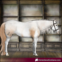Horse Color:Red Dun Sabino