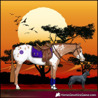 Horse Color:Chestnut Frame Blanket