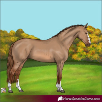 Horse Color:Red Dun
