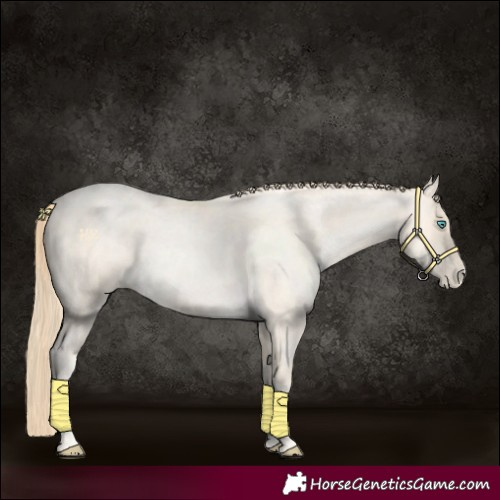 Horse Color:Buckskin Roan Pearl and Buckskin Roan Pearl