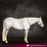 Horse Color:Buckskin Roan Pearl  and Buckskin Roan Pearl 
