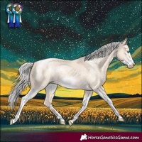 Horse Color:Silver Perlino Dun Sabino Tobiano Frame 