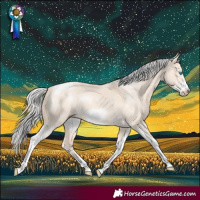 Horse Color:Silver Perlino Dun Sabino Tobiano Frame