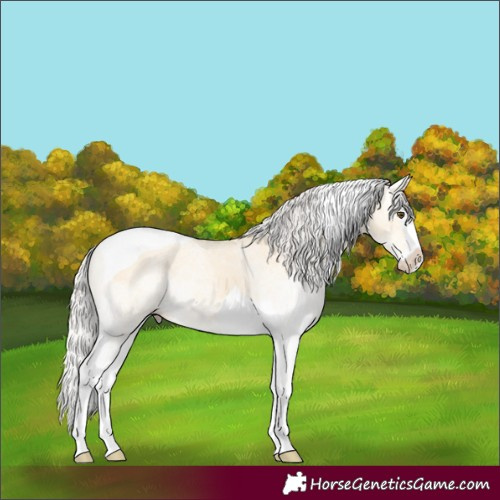 Horse Color:White Spotted Silver Buckskin Dun Splash Tobiano 
