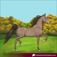 Horse Color:Classic Champagne 
