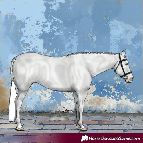 Horse Color:Silver Perlino Dun