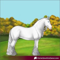 Horse Color:Cremello Dun
