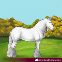 Horse Color:Cremello Dun 