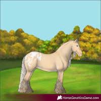 Horse Color:Silver Amber Cream Champagne Dun Blanket 