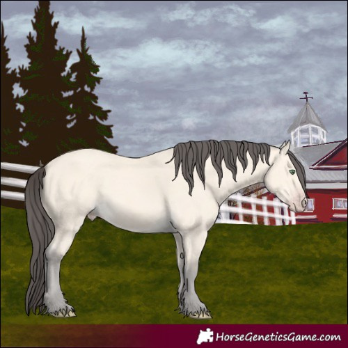 Horse Color:Amber Cream Champagne