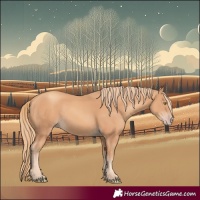Horse Color:Gold Champagne 